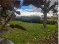 Photo numero 44287996 du bien UBI441479615